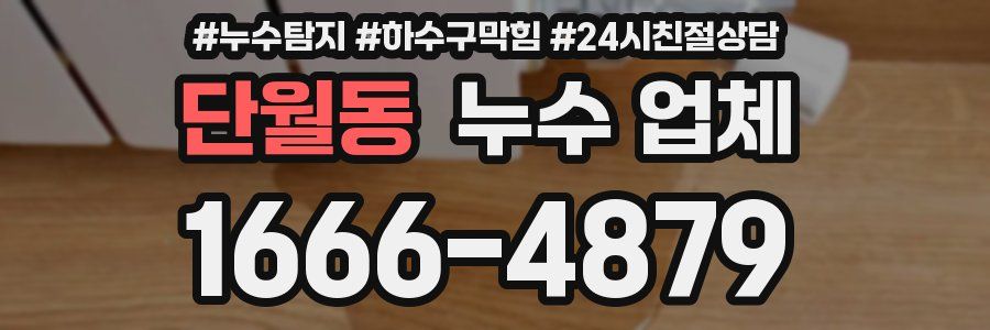 단월동 누수 업체