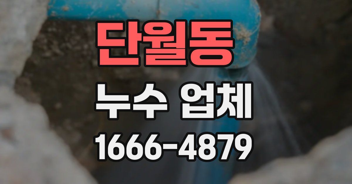 단월동 누수 업체