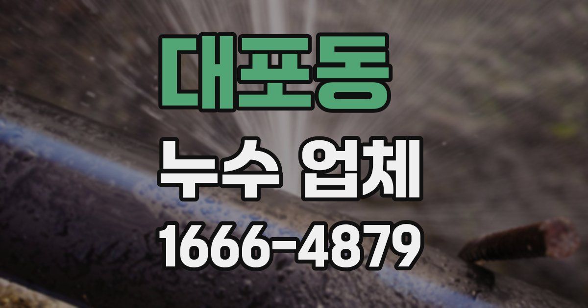 대포동 누수 업체