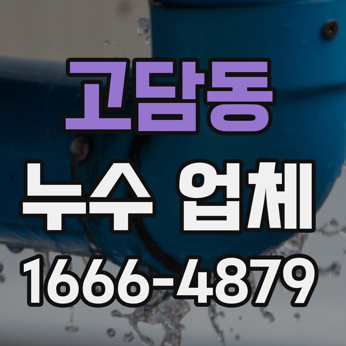 고담동 누수 업체