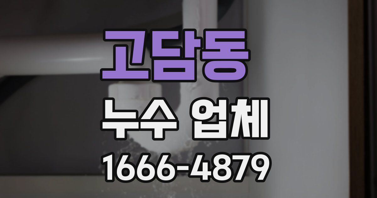 고담동 누수 업체