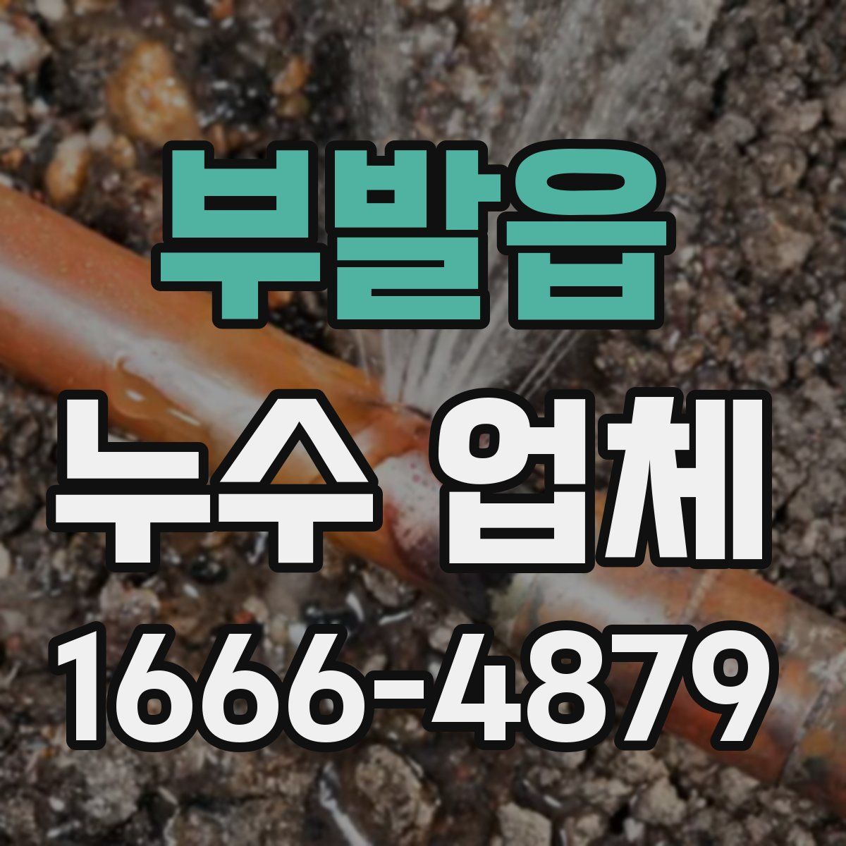 부발읍 누수 업체