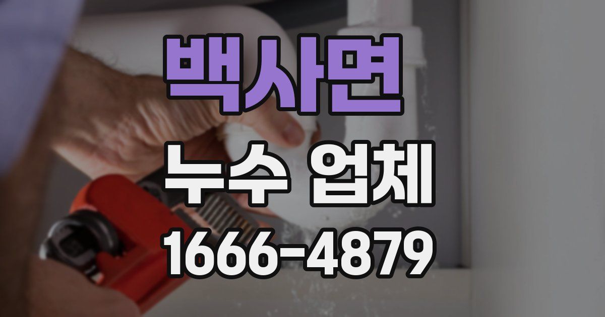 백사면 누수 업체