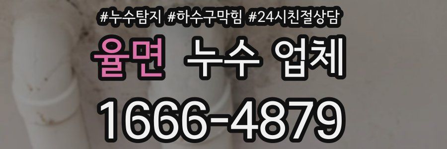 율면 누수 업체