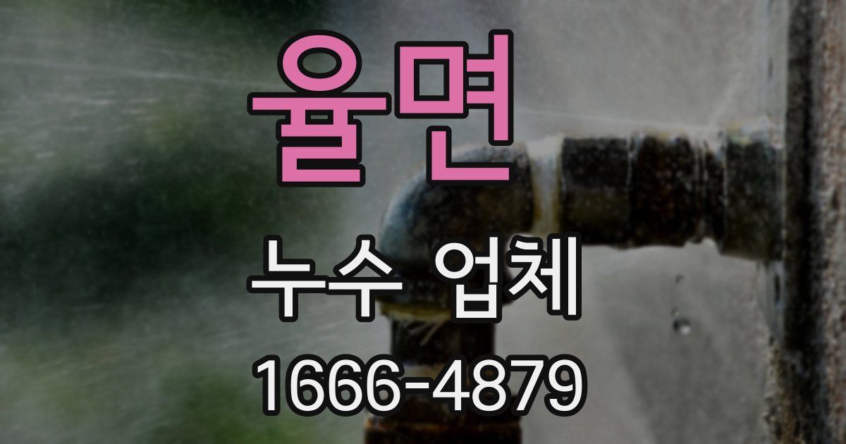 율면 누수 업체