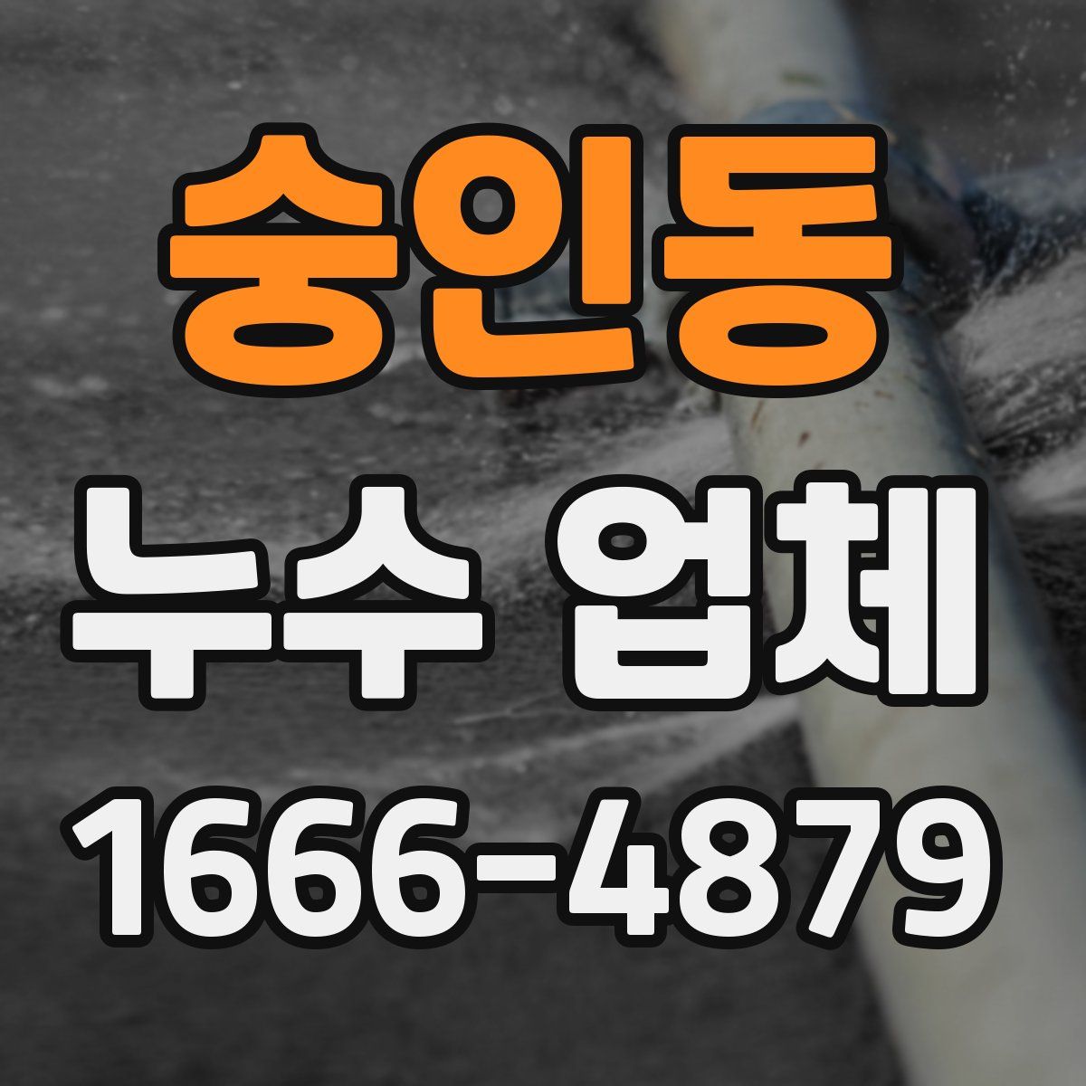 숭인동 누수 업체
