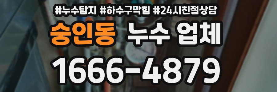 숭인동 누수 업체