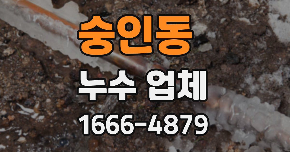숭인동 누수 업체