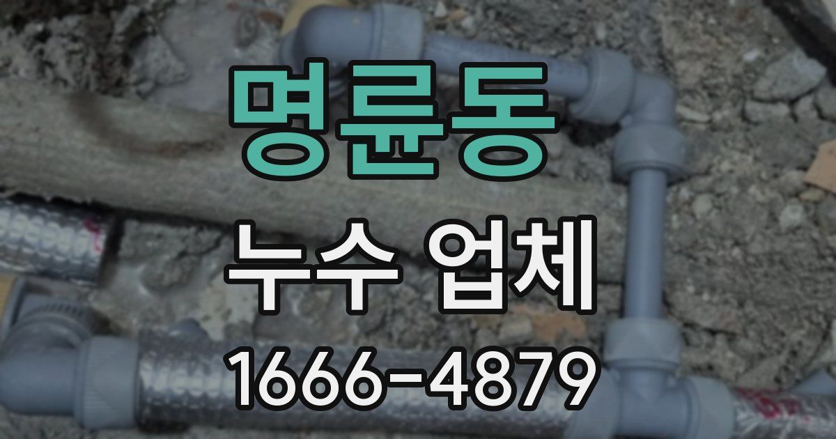 명륜동 누수 업체