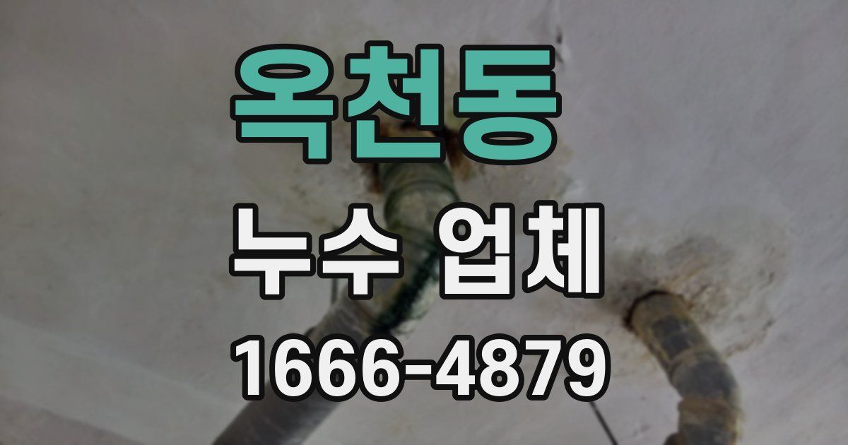 옥천동 누수 업체
