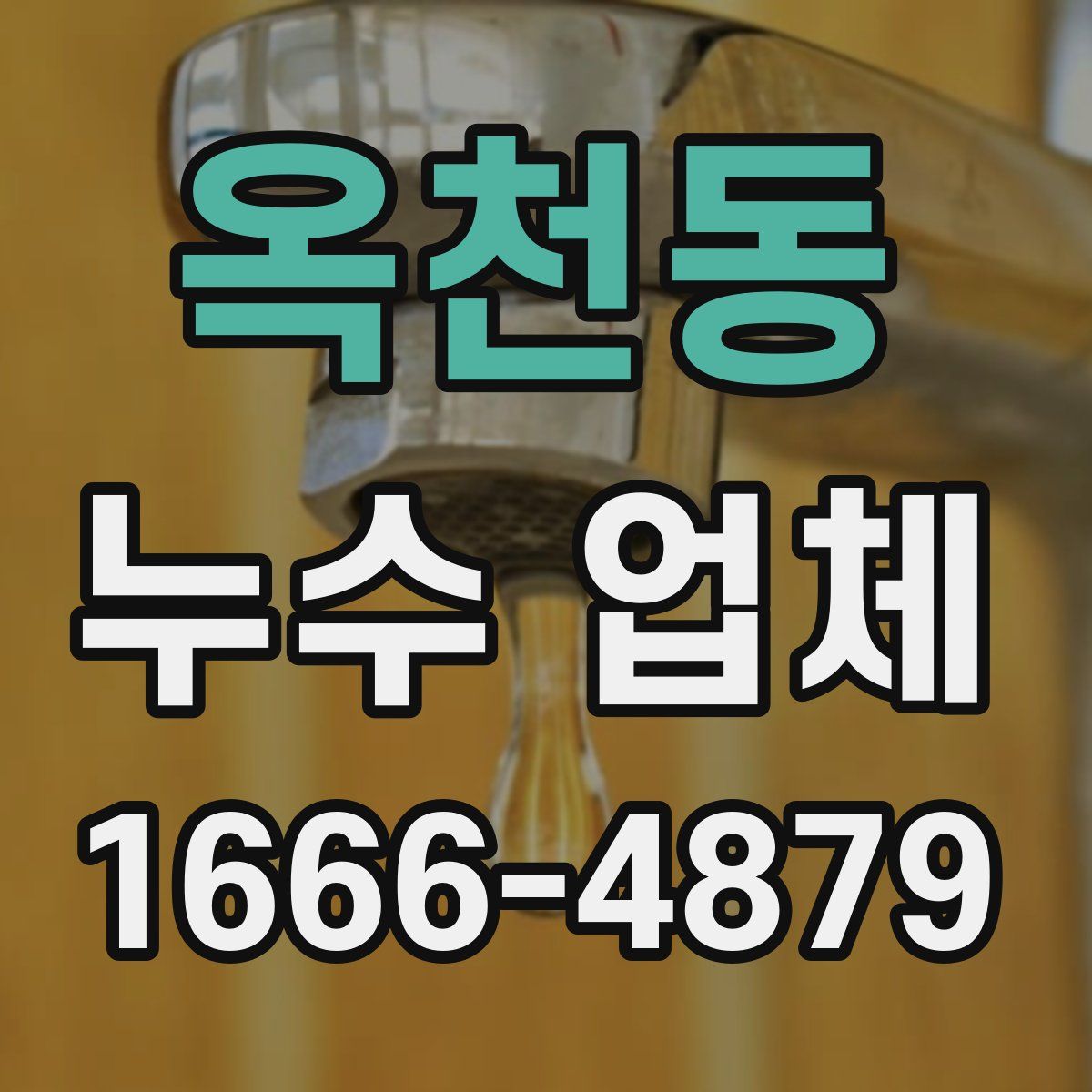 옥천동 누수 업체