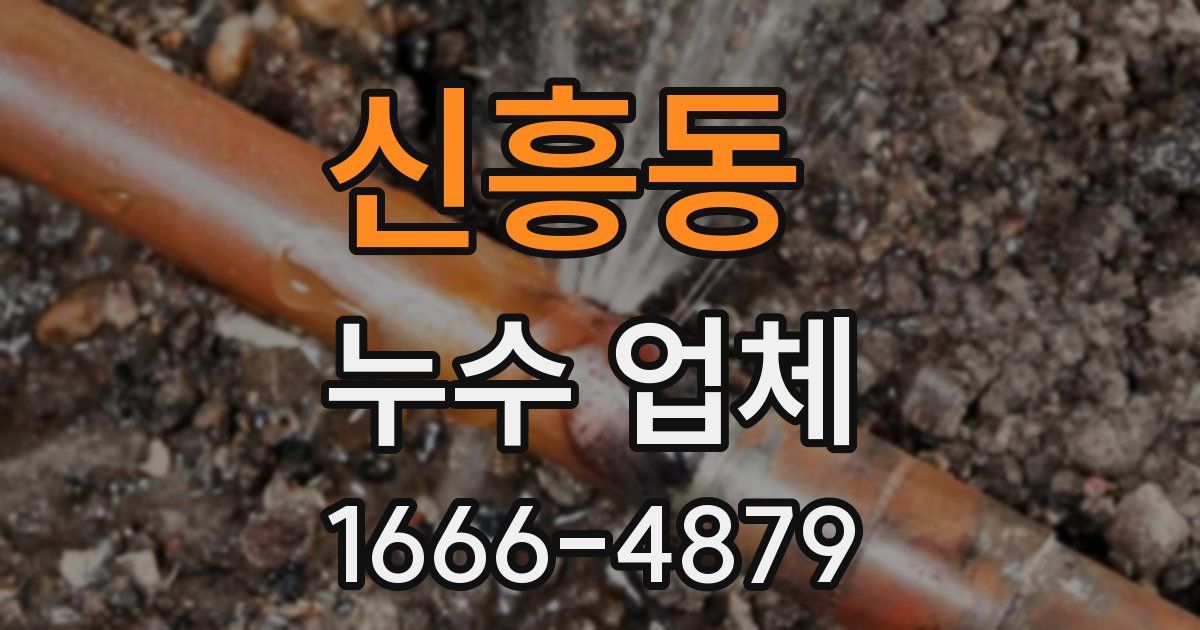 신흥동 누수 업체
