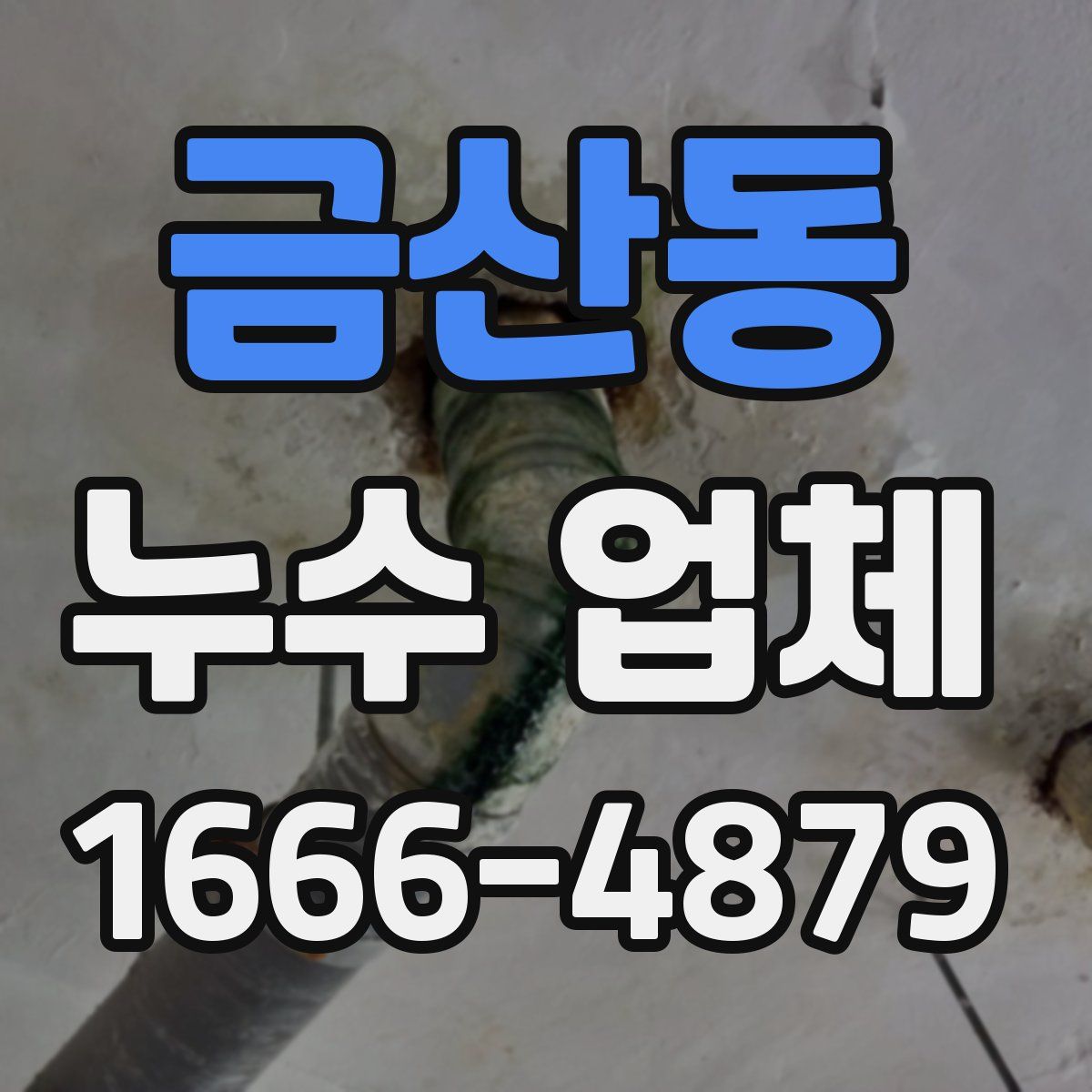 금산동 누수 업체
