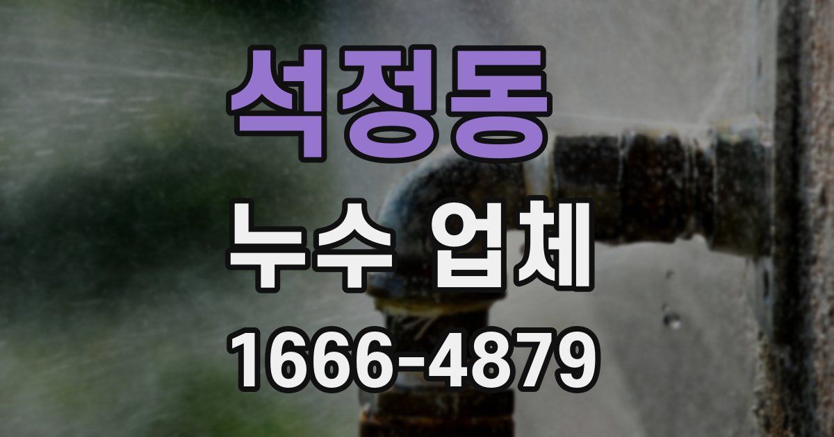 석정동 누수 업체
