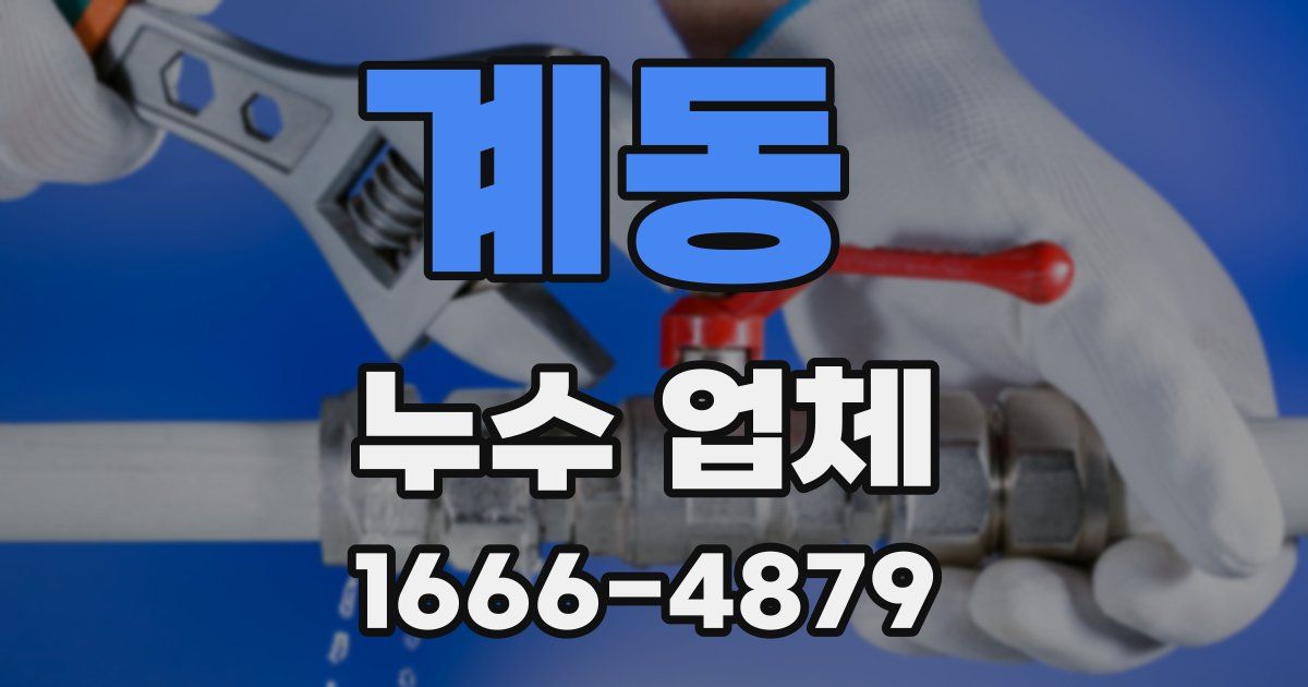 계동 누수 업체