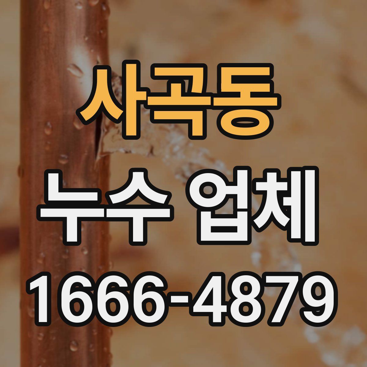 사곡동 누수 업체