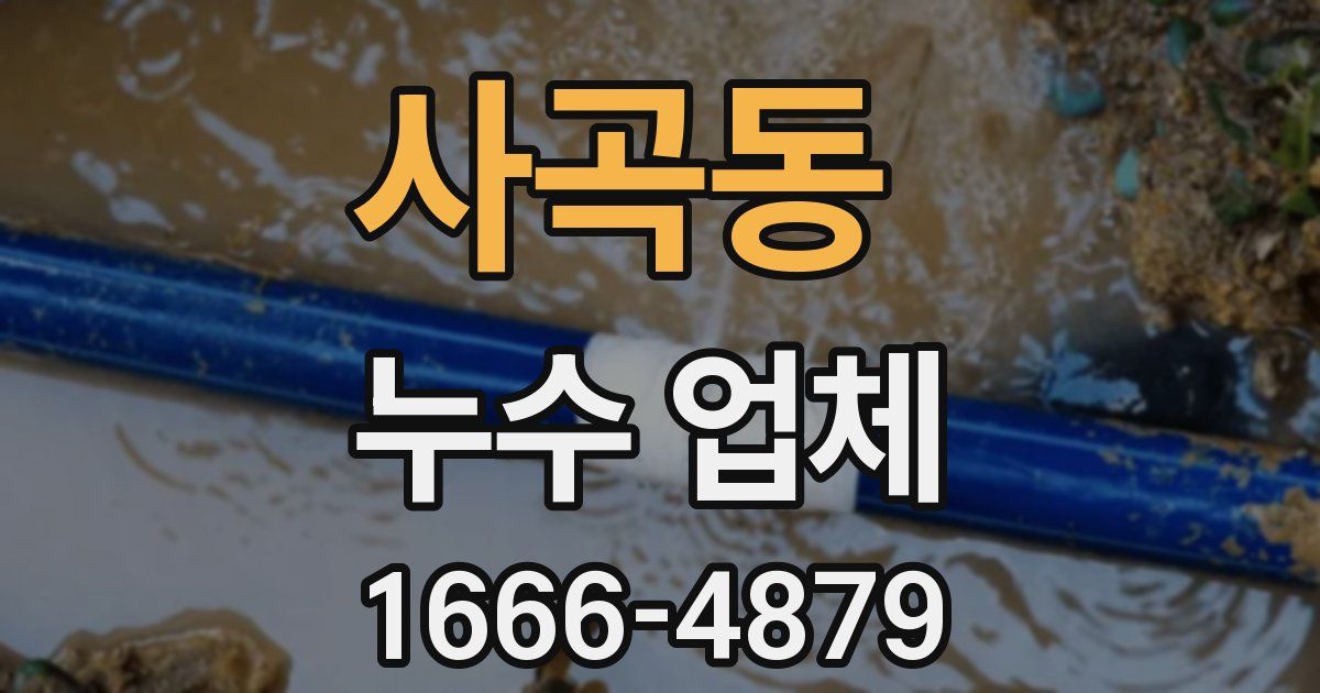 사곡동 누수 업체