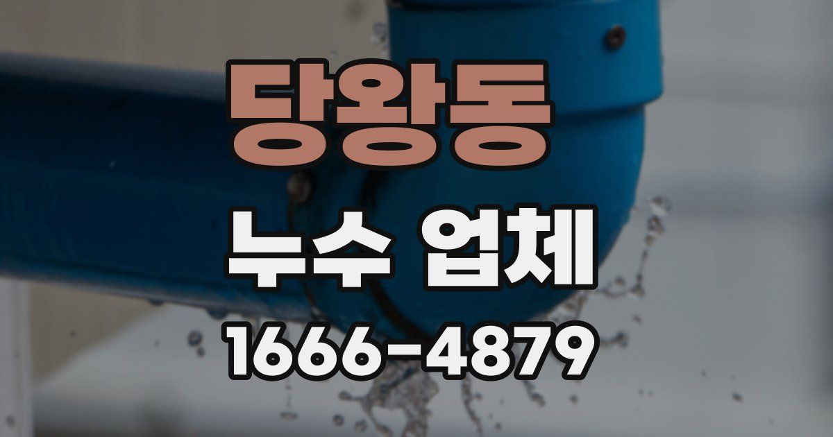 당왕동 누수 업체