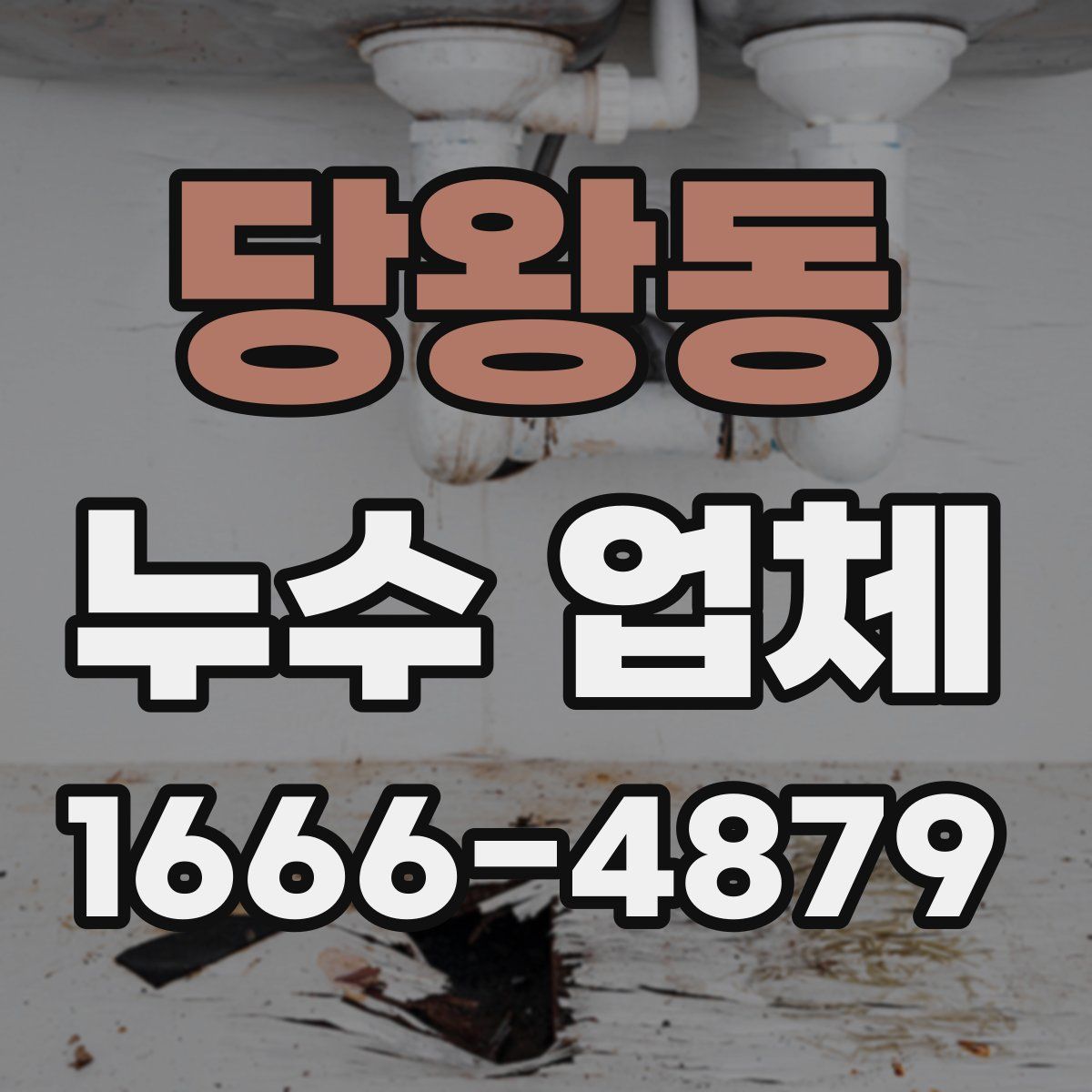 당왕동 누수 업체