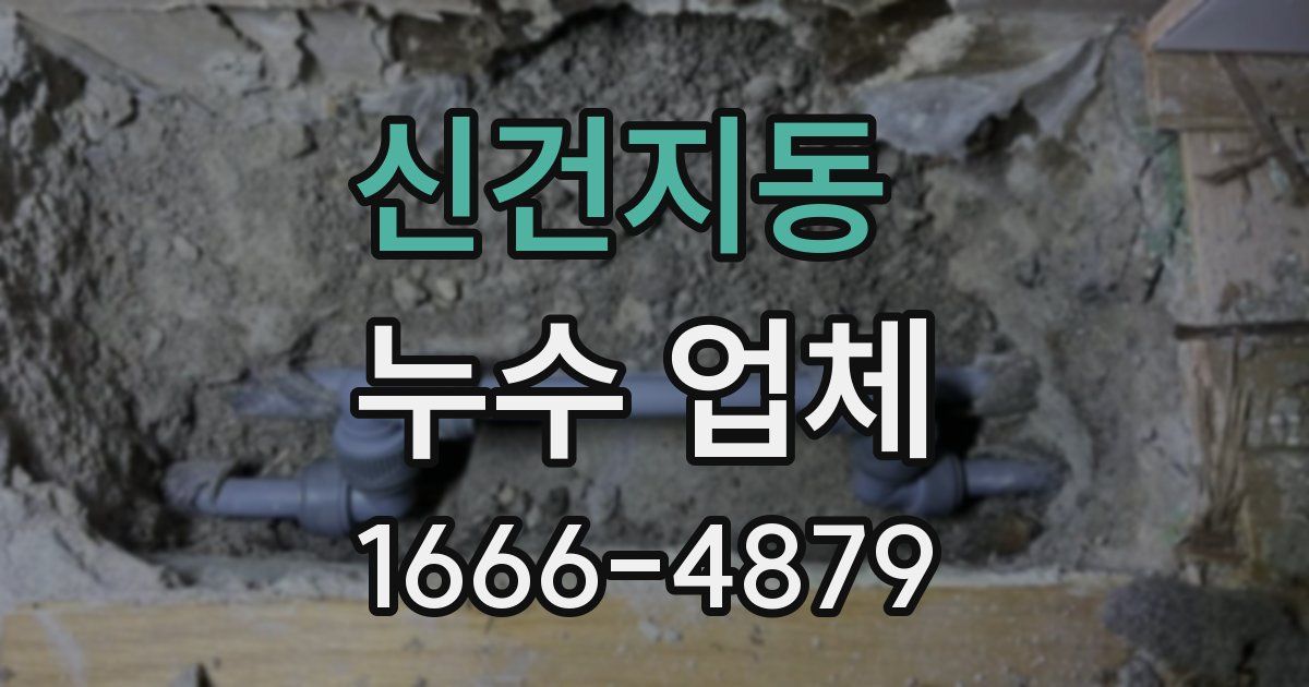 신건지동 누수 업체