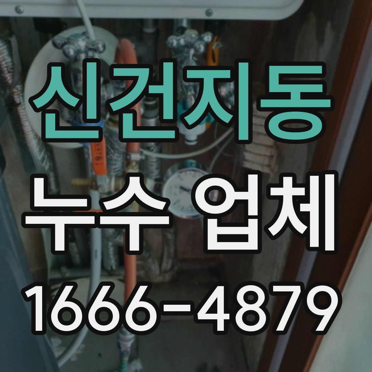 신건지동 누수 업체