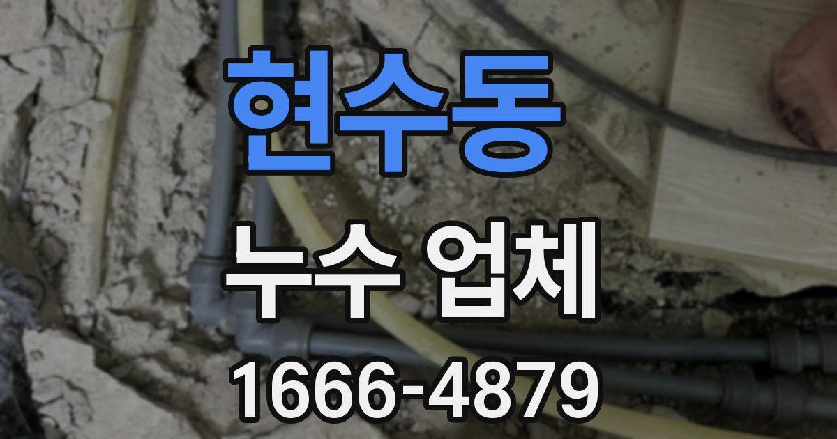 현수동 누수 업체