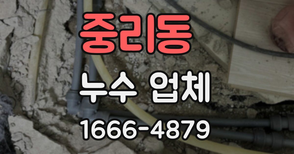 중리동 누수 업체