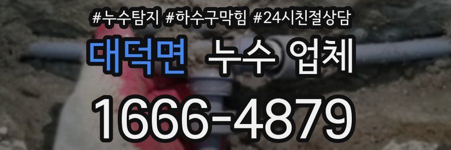 대덕면 누수 업체