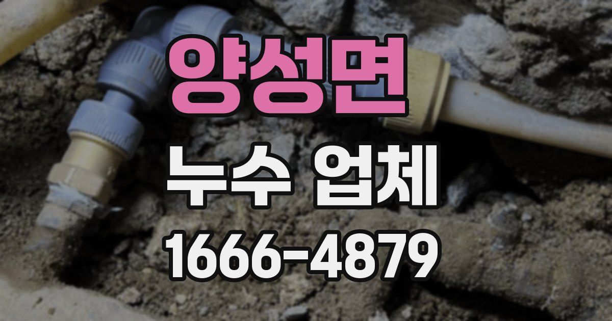 양성면 누수 업체