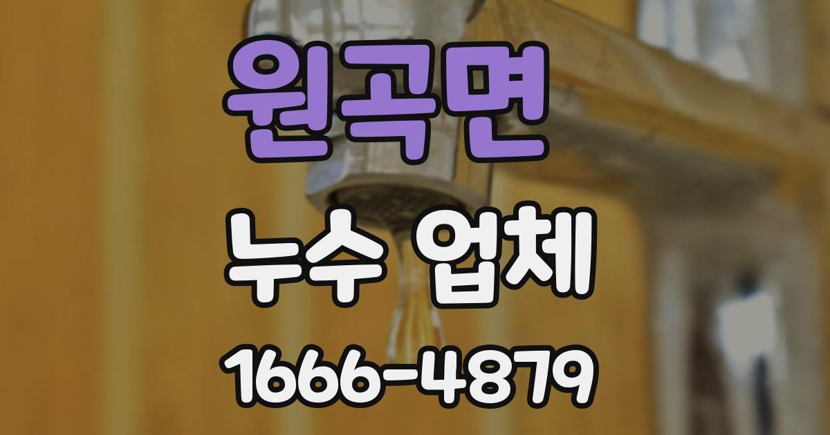 원곡면 누수 업체