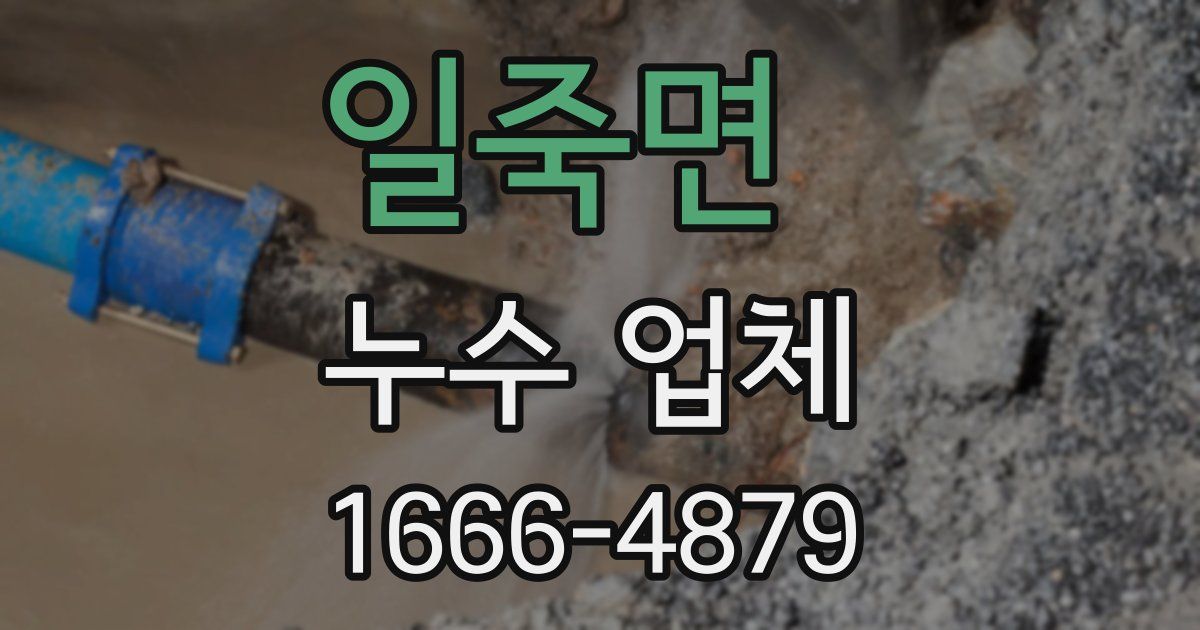 일죽면 누수 업체