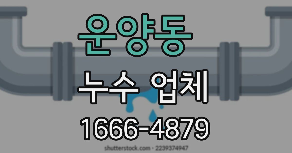 운양동 누수 업체