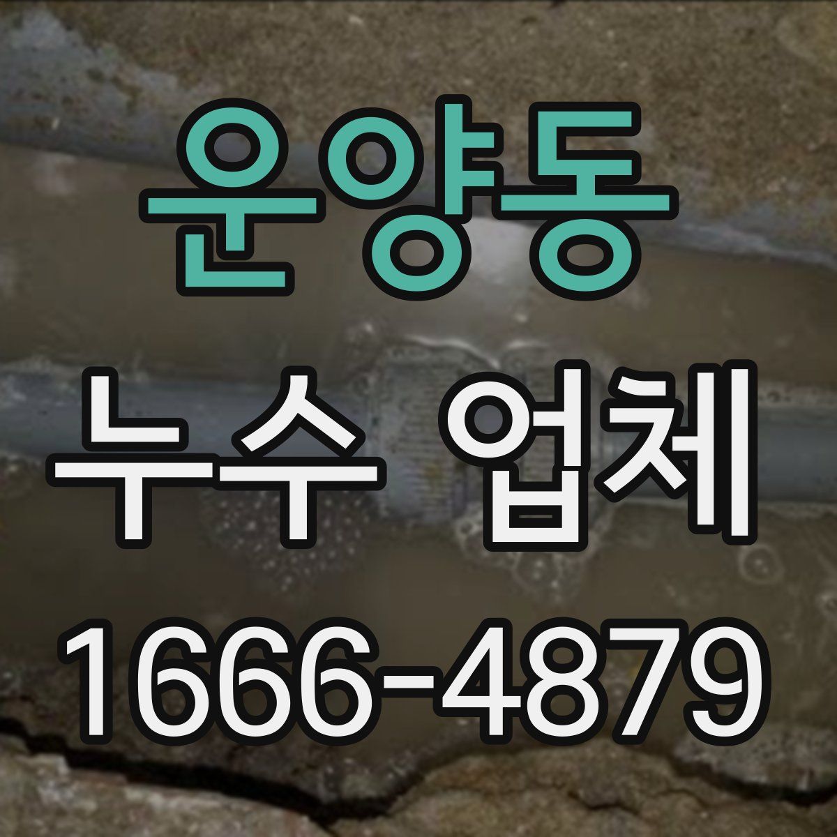 운양동 누수 업체