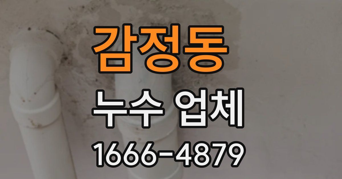 감정동 누수 업체