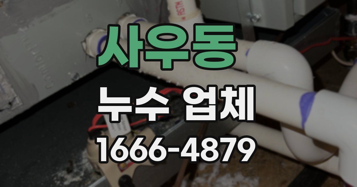 사우동 누수 업체