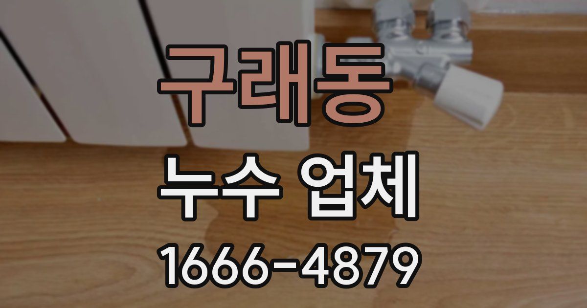 구래동 누수 업체
