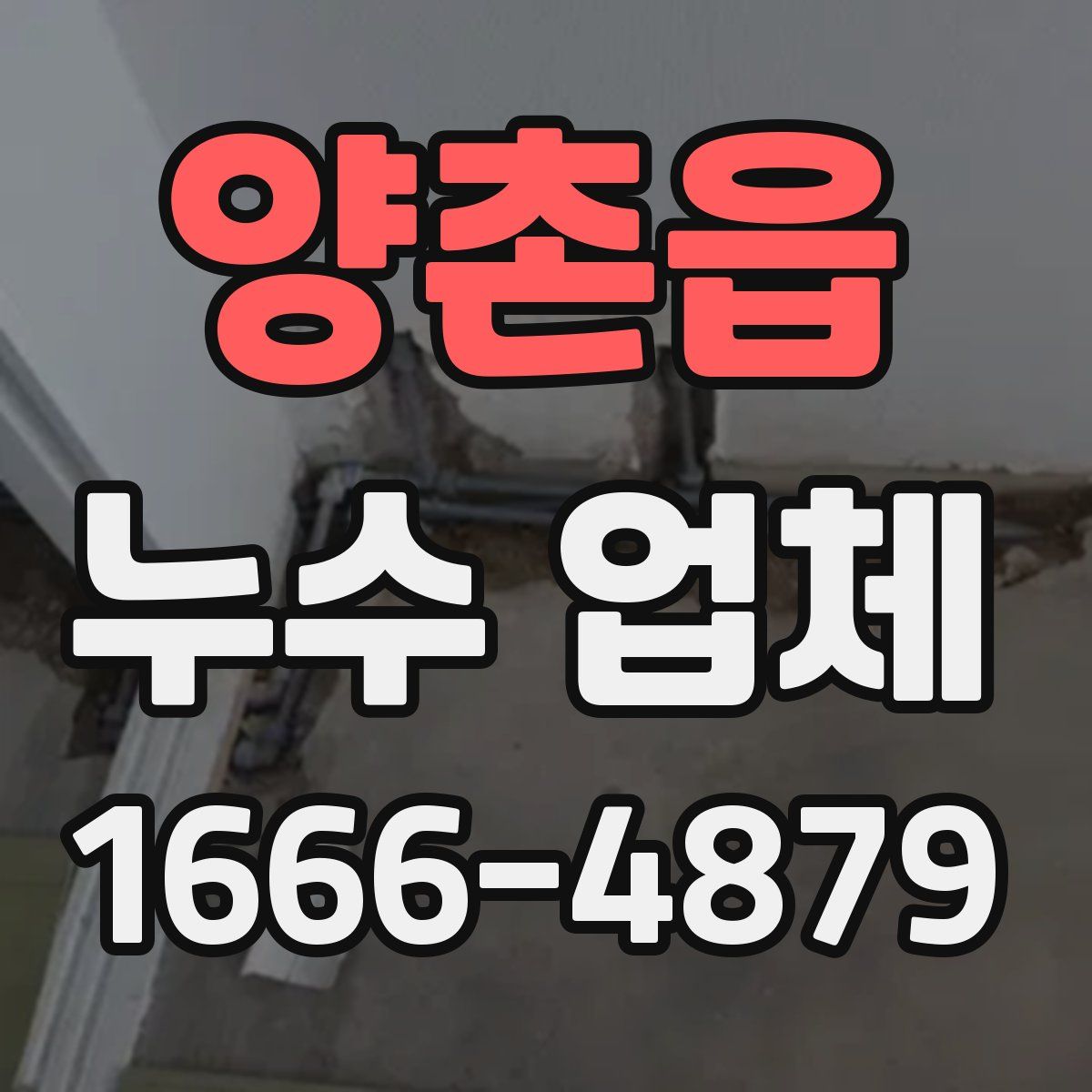 양촌읍 누수 업체