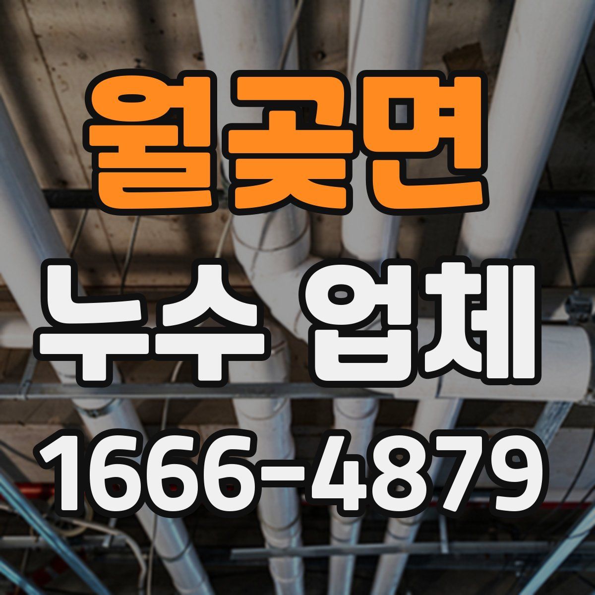 월곶면 누수 업체