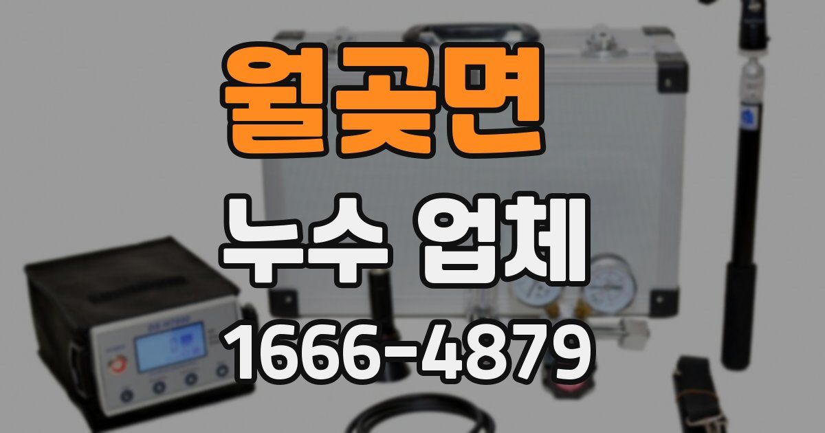 월곶면 누수 업체