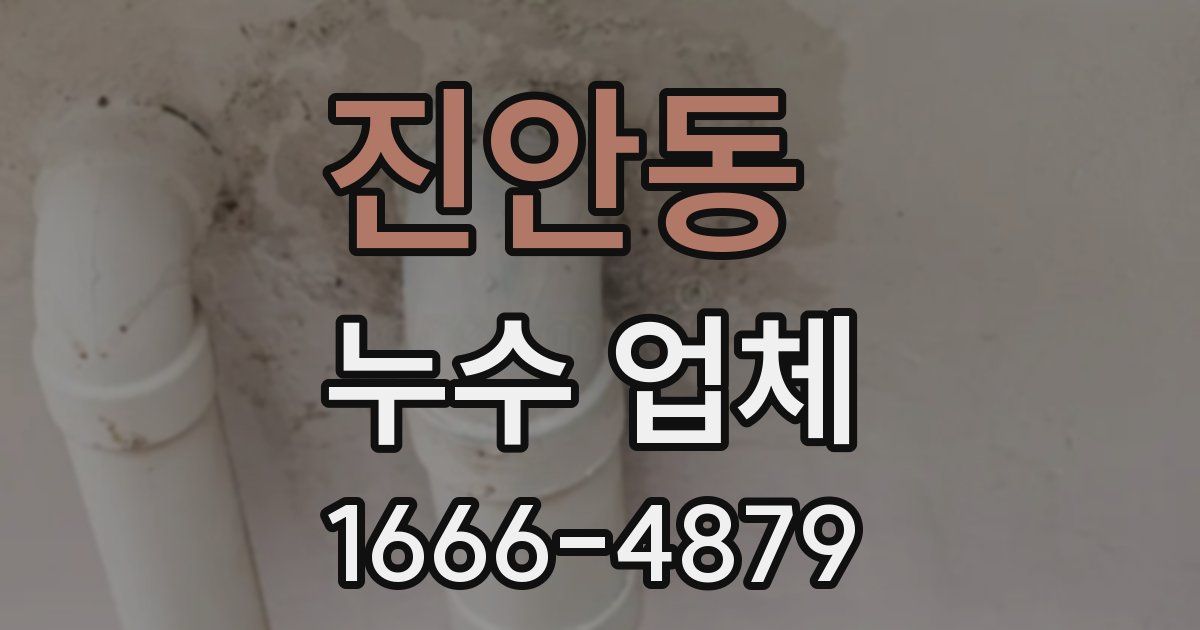 진안동 누수 업체