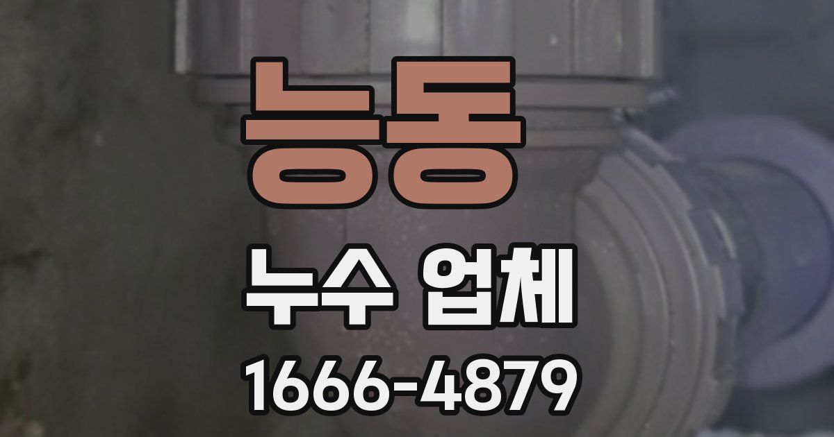 능동 누수 업체