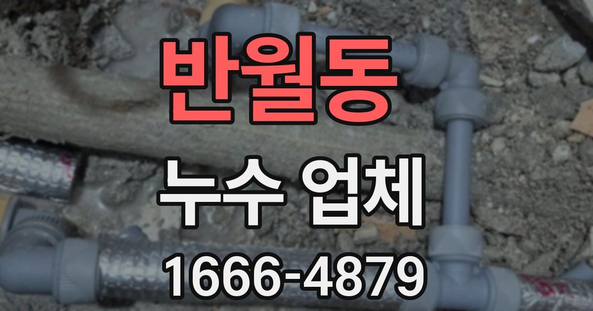 반월동 누수 업체