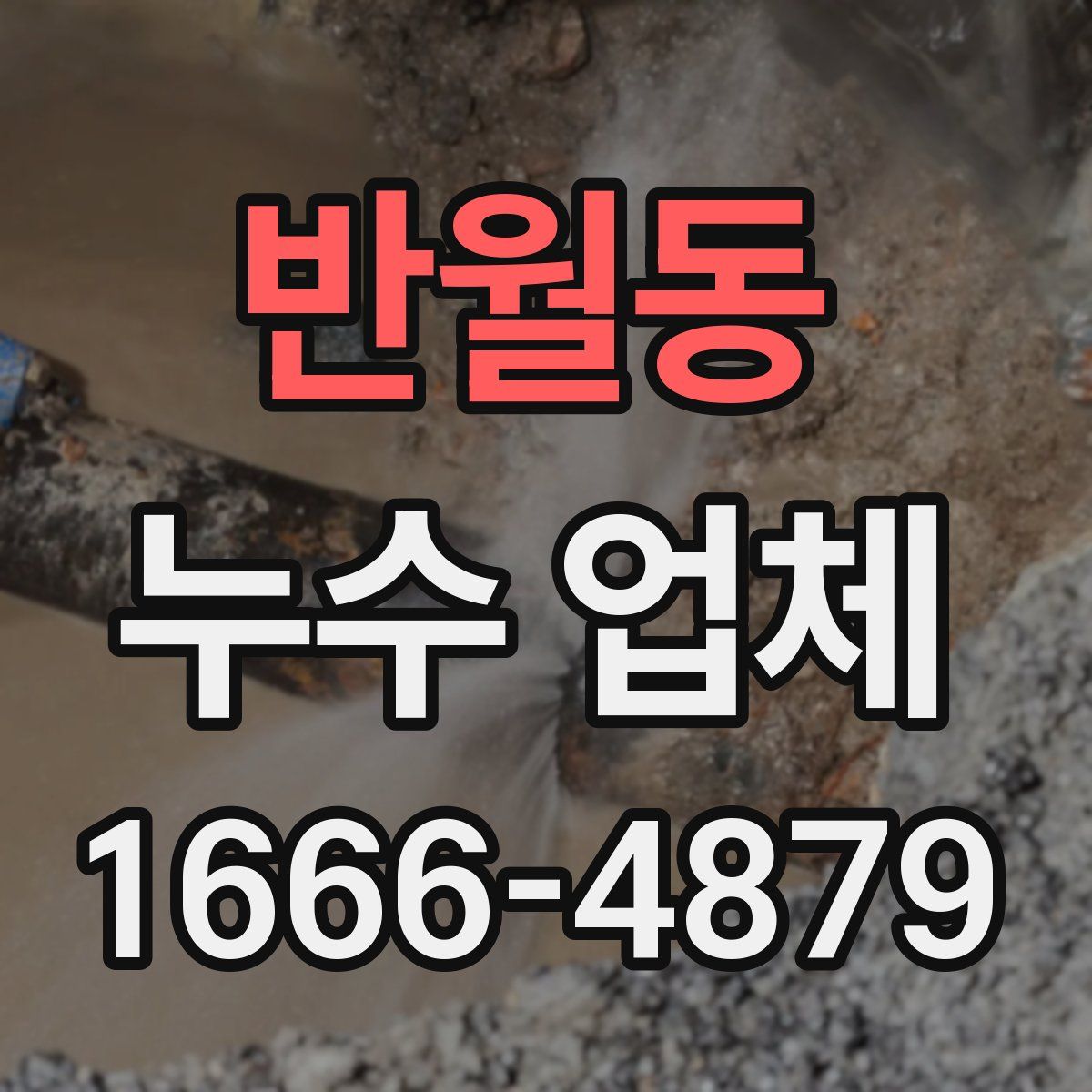 반월동 누수 업체