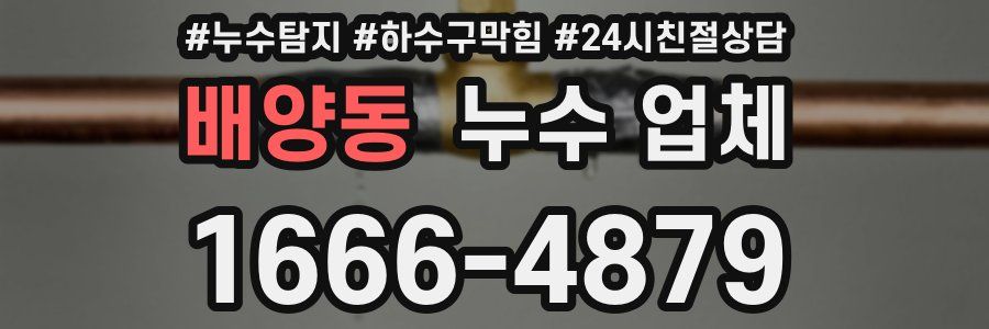 배양동 누수 업체