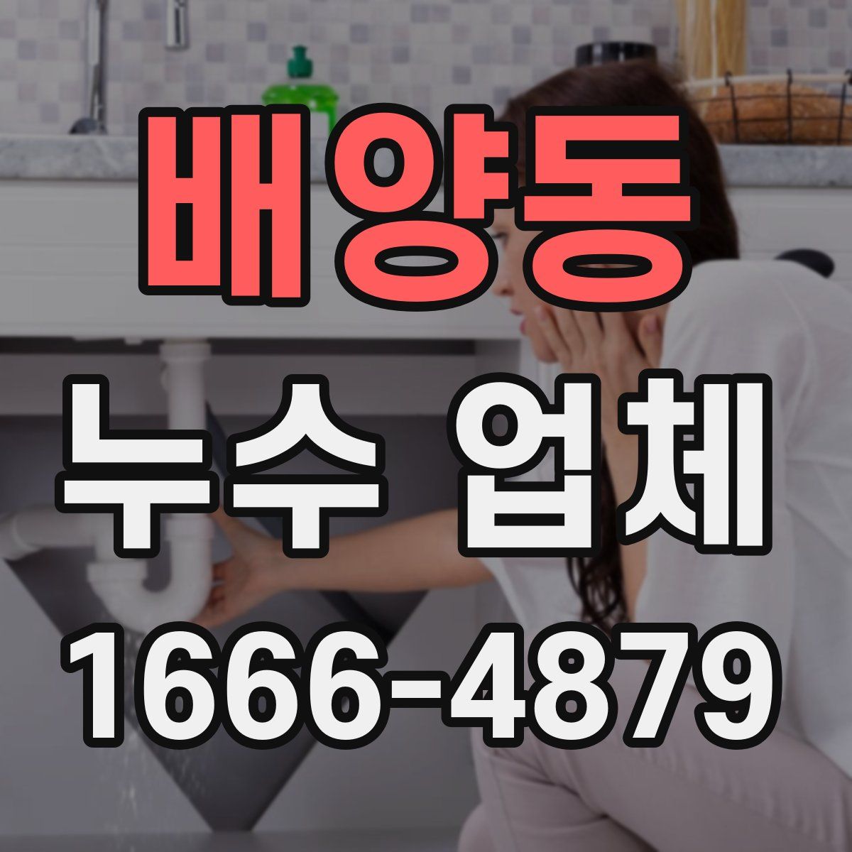 배양동 누수 업체