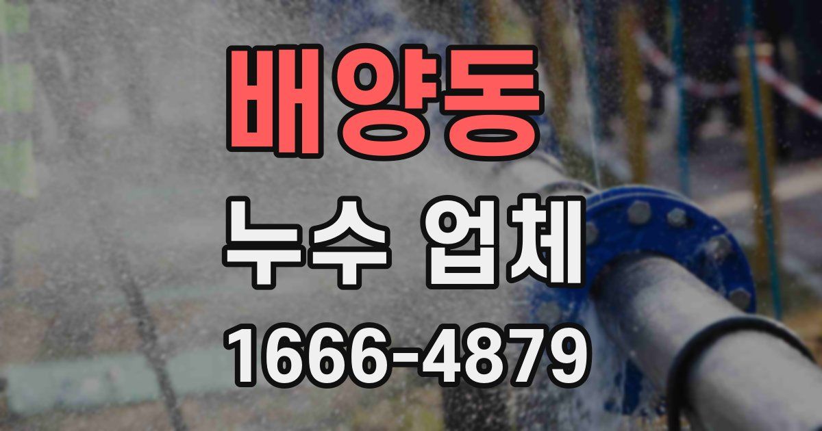 배양동 누수 업체