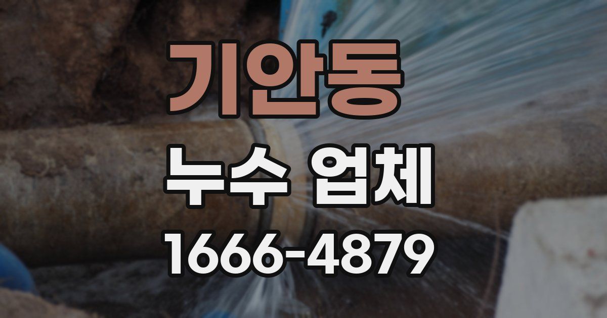 기안동 누수 업체
