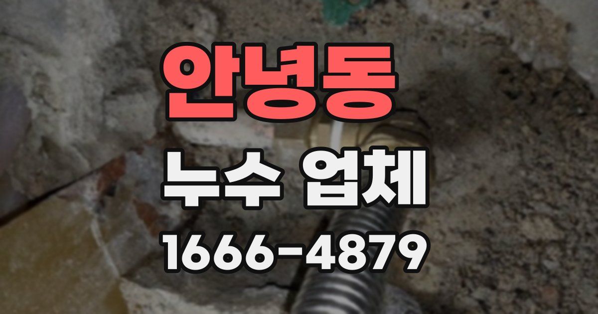 안녕동 누수 업체