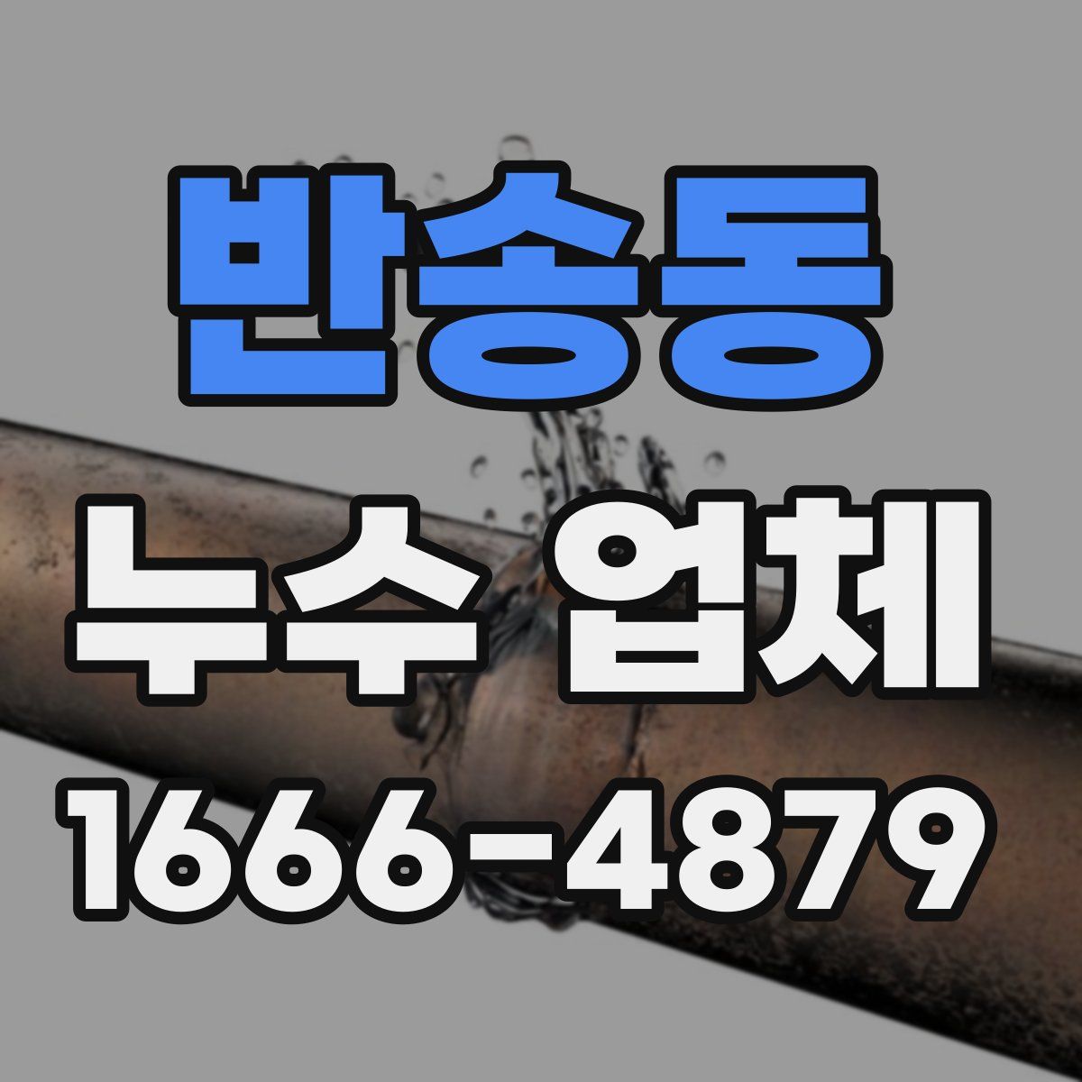 반송동 누수 업체
