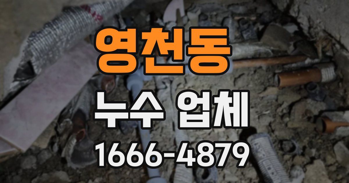 영천동 누수 업체